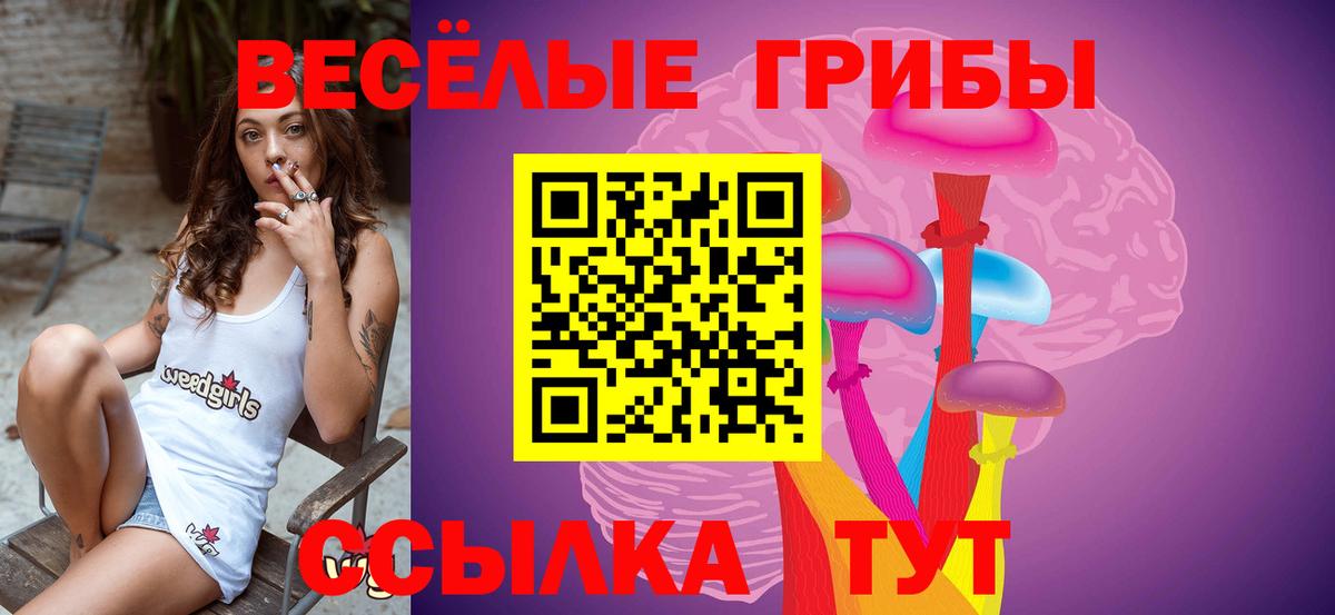 закладка  Псилоцибиновые грибы прущие грибы  Бузулук  Вход с VPN  Галлюциногенные грибы ЛСД 